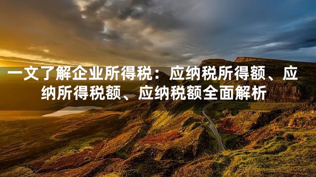 一文了解企业所得税：应纳税所得额、应纳所得税额、应纳税额全面解析
