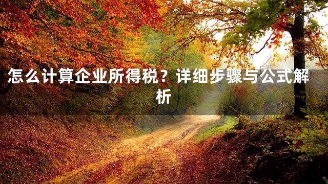 怎么计算企业所得税？详细步骤与公式解析