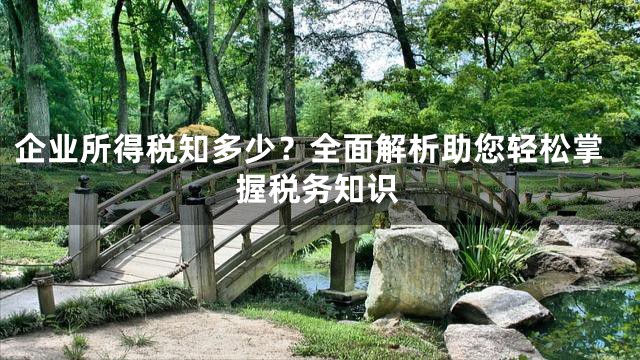 企业所得税知多少？全面解析助您轻松掌握税务知识