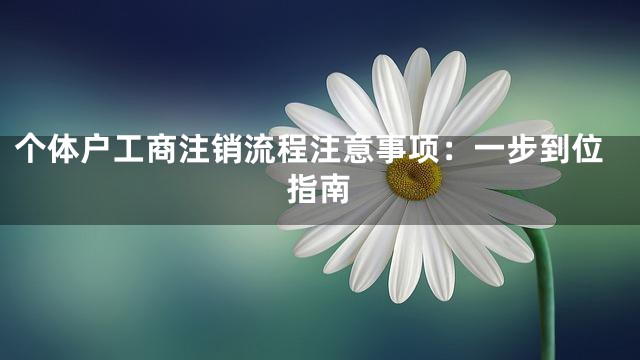 个体户工商注销流程注意事项：一步到位指南