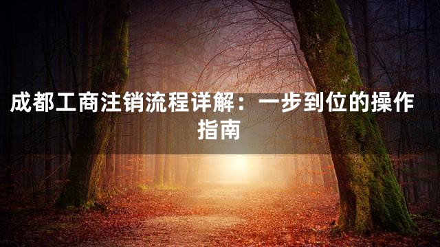 成都工商注销流程详解：一步到位的操作指南