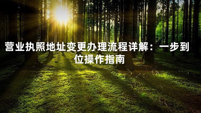 营业执照地址变更办理流程详解：一步到位操作指南