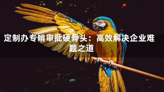 定制办专啃审批硬骨头：高效解决企业难题之道