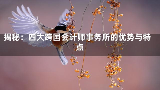 揭秘：四大跨国会计师事务所的优势与特点