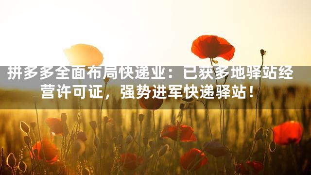 拼多多全面布局快递业：已获多地驿站经营许可证，强势进军快递驿站！