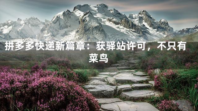 拼多多快递新篇章：获驿站许可，不只有菜鸟