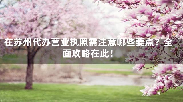 在苏州代办营业执照需注意哪些要点？全面攻略在此！