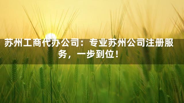 苏州工商代办公司：专业苏州公司注册服务，一步到位！