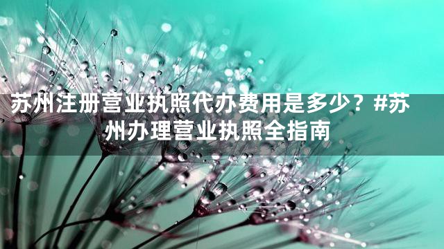 苏州注册营业执照代办费用是多少？#苏州办理营业执照全指南