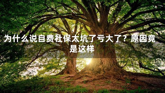 为什么说自费社保太坑了亏大了？原因竟是这样