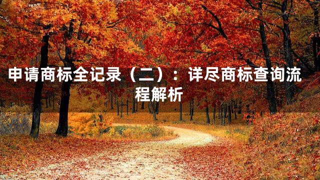 申请商标全记录（二）：详尽商标查询流程解析