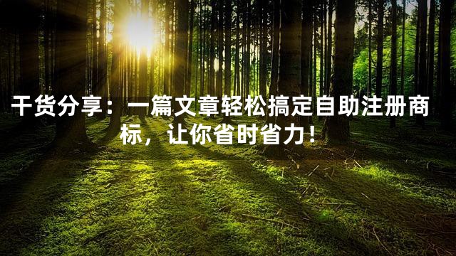 干货分享：一篇文章轻松搞定自助注册商标，让你省时省力！