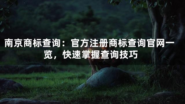 南京商标查询：官方注册商标查询官网一览，快速掌握查询技巧