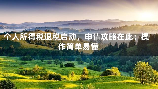 个人所得税退税启动，申请攻略在此：操作简单易懂