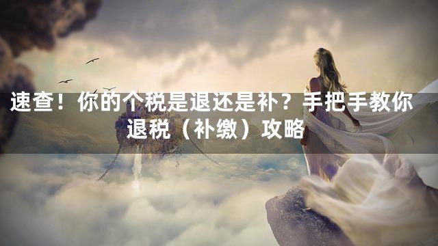 速查！你的个税是退还是补？手把手教你退税（补缴）攻略