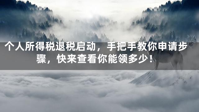 个人所得税退税启动，手把手教你申请步骤，快来查看你能领多少！