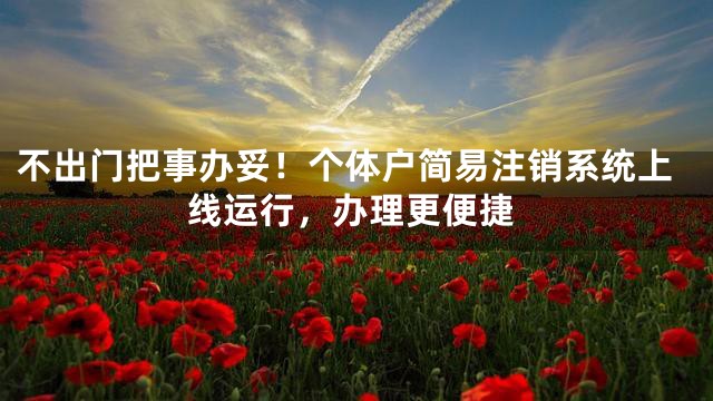不出门把事办妥！个体户简易注销系统上线运行，办理更便捷