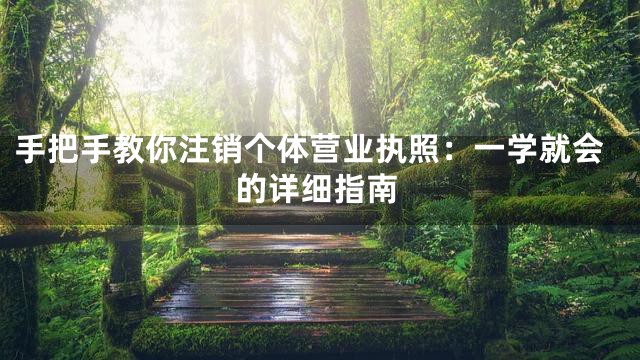 手把手教你注销个体营业执照：一学就会的详细指南