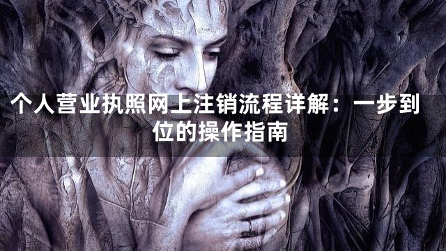 个人营业执照网上注销流程详解：一步到位的操作指南