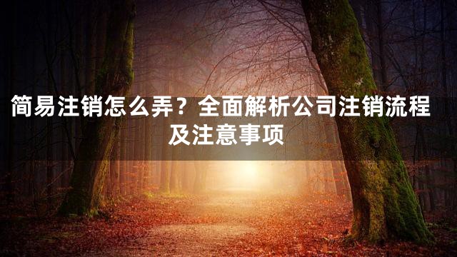 简易注销怎么弄？全面解析公司注销流程及注意事项