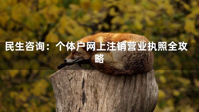 民生咨询：个体户网上注销营业执照全攻略