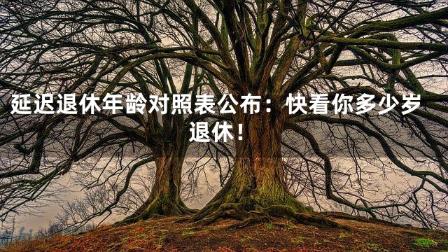 延迟退休年龄对照表公布：快看你多少岁退休！