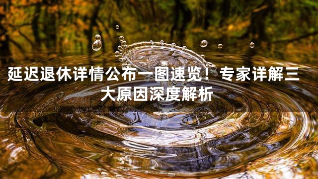 延迟退休详情公布一图速览！专家详解三大原因深度解析