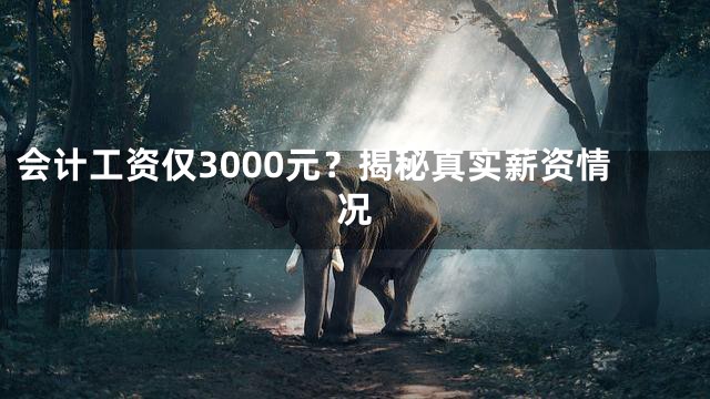 会计工资仅3000元？揭秘真实薪资情况