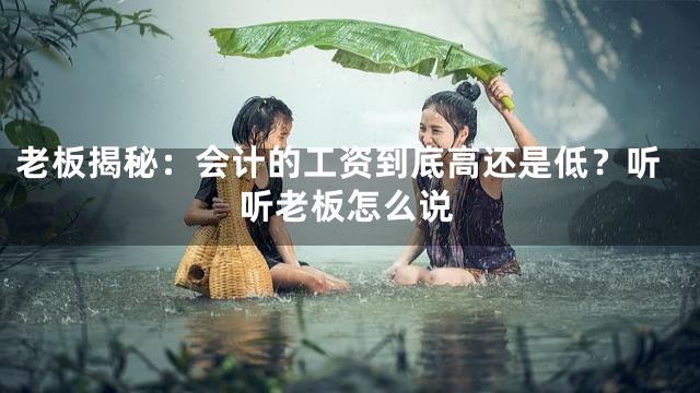 老板揭秘：会计的工资到底高还是低？听听老板怎么说