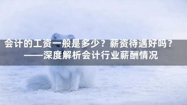 会计的工资一般是多少？薪资待遇好吗？——深度解析会计行业薪酬情况