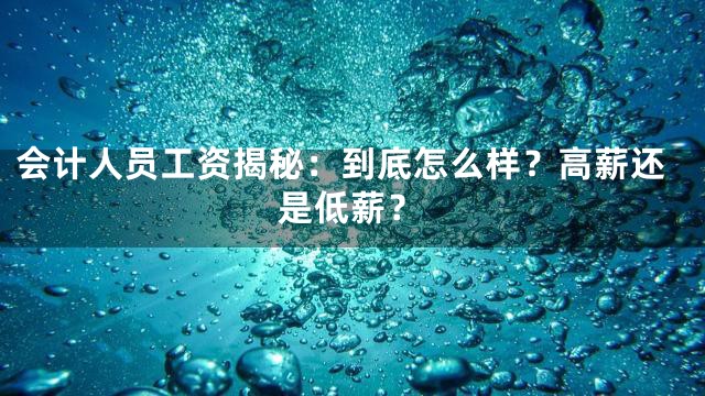 会计人员工资揭秘：到底怎么样？高薪还是低薪？