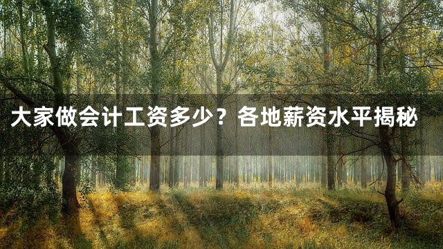 大家做会计工资多少？各地薪资水平揭秘