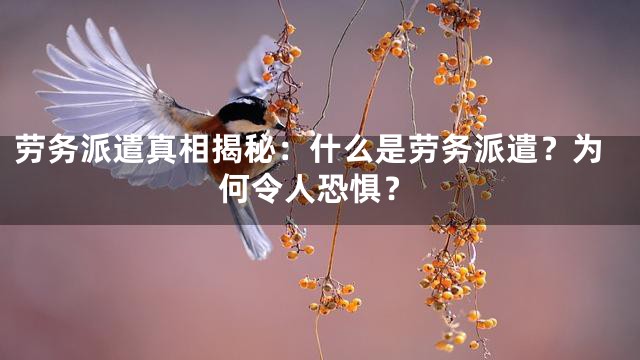 劳务派遣真相揭秘：什么是劳务派遣？为何令人恐惧？