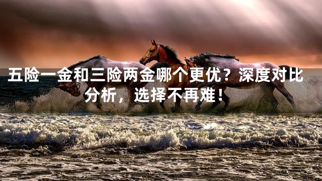 五险一金和三险两金哪个更优？深度对比分析，选择不再难！