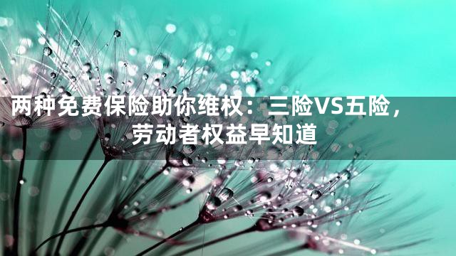 两种免费保险助你维权：三险VS五险，劳动者权益早知道