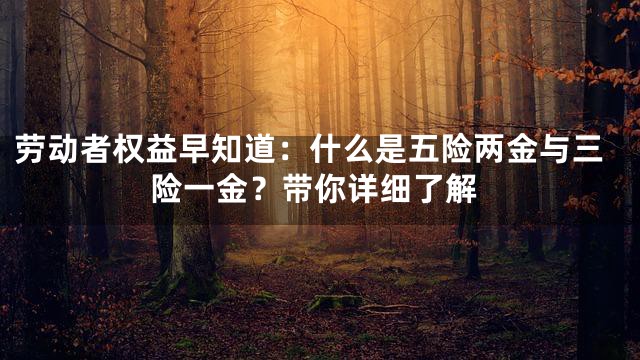 劳动者权益早知道：什么是五险两金与三险一金？带你详细了解
