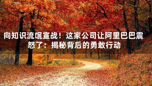 向知识流氓宣战！这家公司让阿里巴巴震怒了：揭秘背后的勇敢行动
