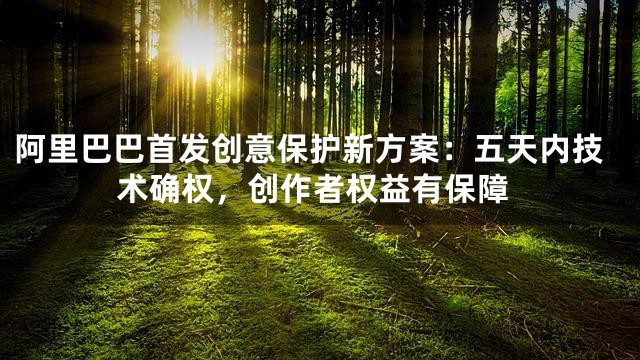 阿里巴巴首发创意保护新方案：五天内技术确权，创作者权益有保障