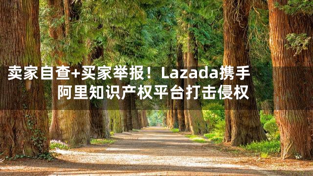 卖家自查+买家举报！Lazada携手阿里知识产权平台打击侵权