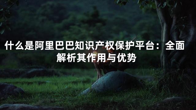 什么是阿里巴巴知识产权保护平台：全面解析其作用与优势