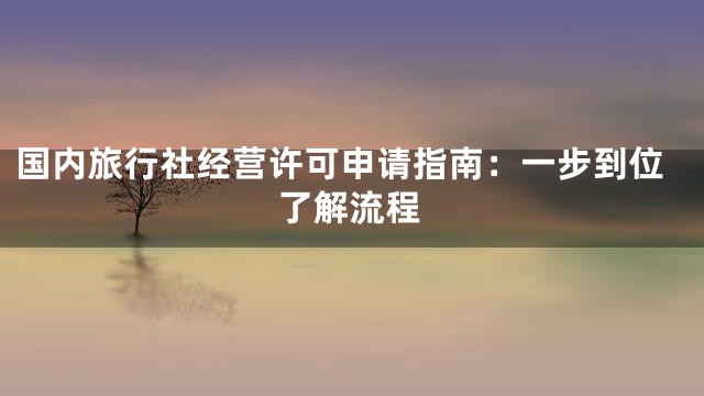 国内旅行社经营许可申请指南：一步到位了解流程