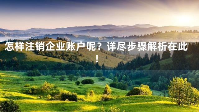 怎样注销企业账户呢？详尽步骤解析在此！