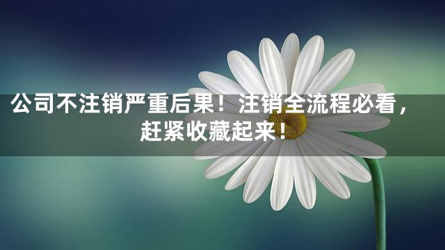 公司不注销严重后果！注销全流程必看，赶紧收藏起来！