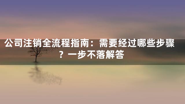 公司注销全流程指南：需要经过哪些步骤？一步不落解答