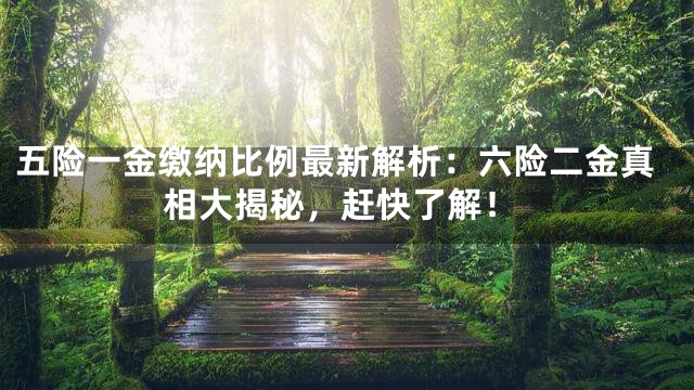 五险一金缴纳比例最新解析：六险二金真相大揭秘，赶快了解！