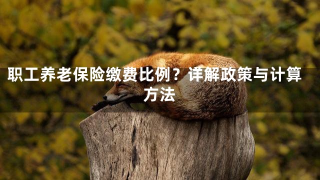 职工养老保险缴费比例？详解政策与计算方法