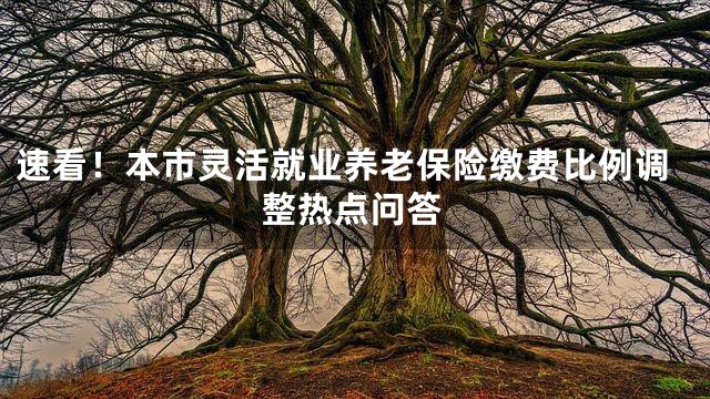 速看！本市灵活就业养老保险缴费比例调整热点问答
