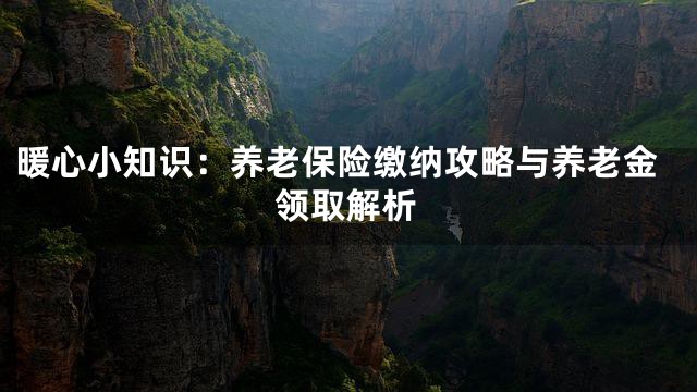 暖心小知识：养老保险缴纳攻略与养老金领取解析