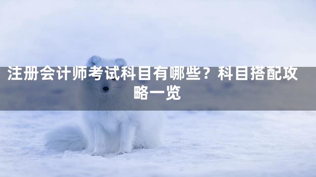 注册会计师考试科目有哪些？科目搭配攻略一览