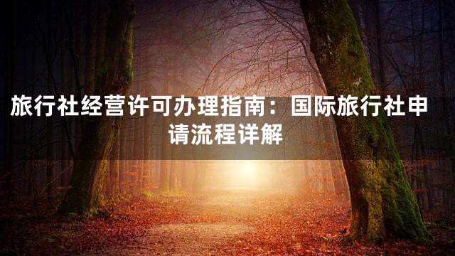 旅行社经营许可办理指南：国际旅行社申请流程详解